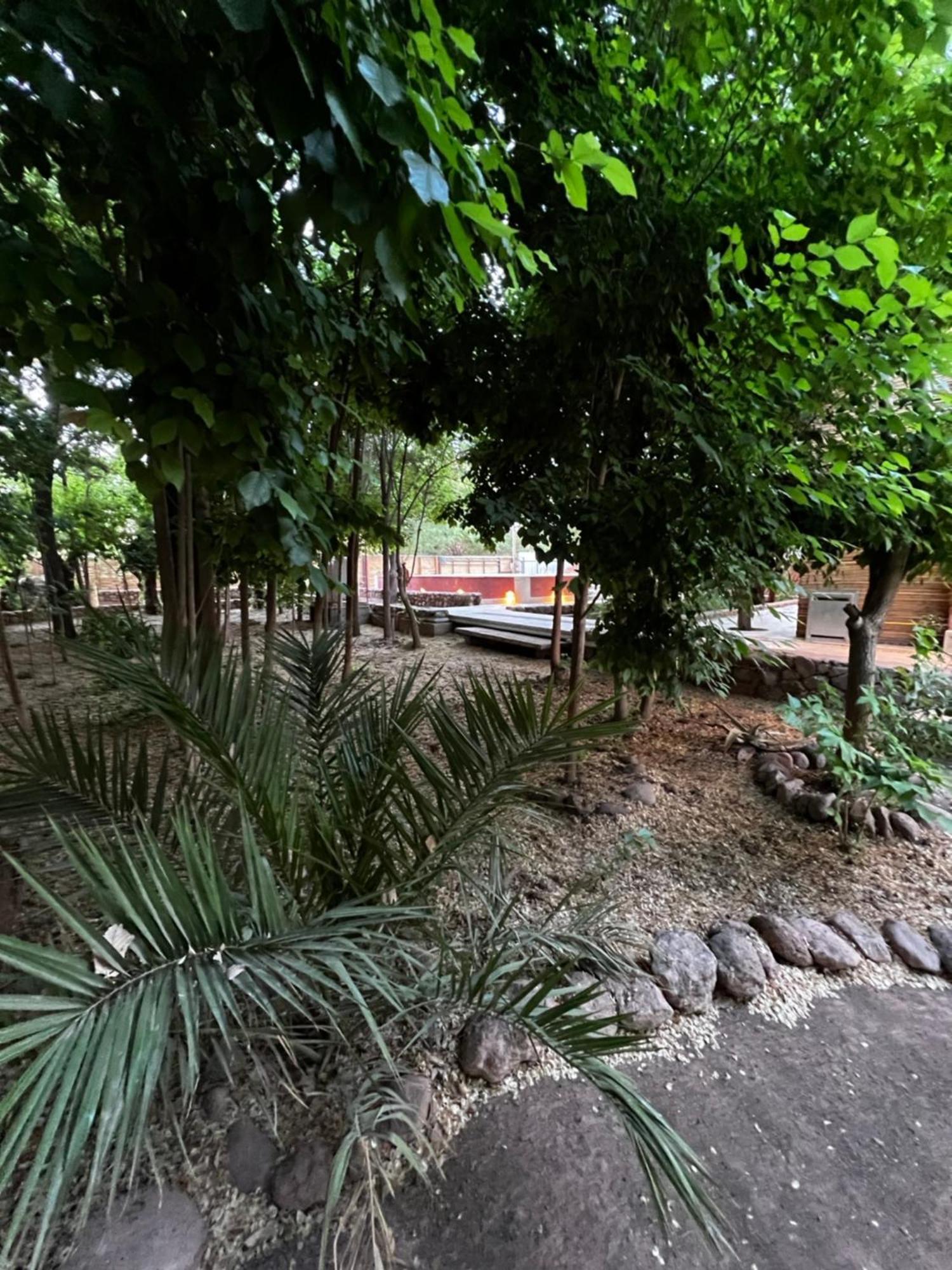 סן פדרו דה אטקאמה Foresta Atacama Lodge מראה חיצוני תמונה
