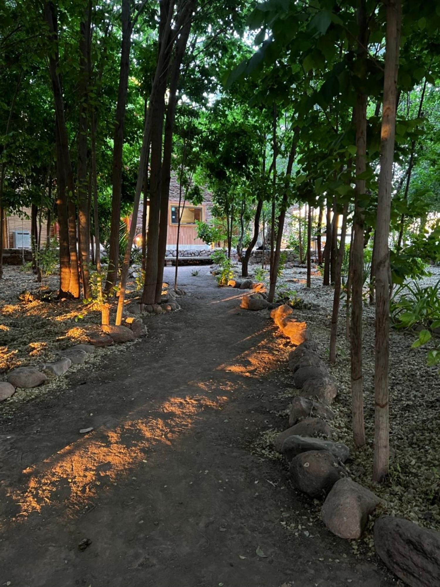 סן פדרו דה אטקאמה Foresta Atacama Lodge מראה חיצוני תמונה